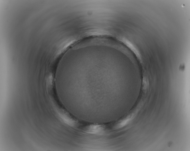 X0000092030117200709061623