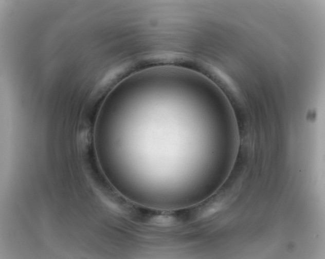 X0000092030119200709061623