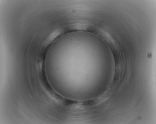 X0000092030120200709061623