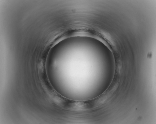 X0000092030121200709061623