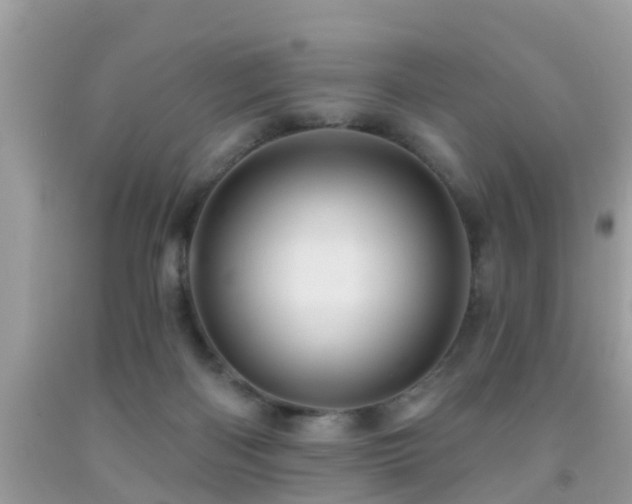 X0000092030122200709061623