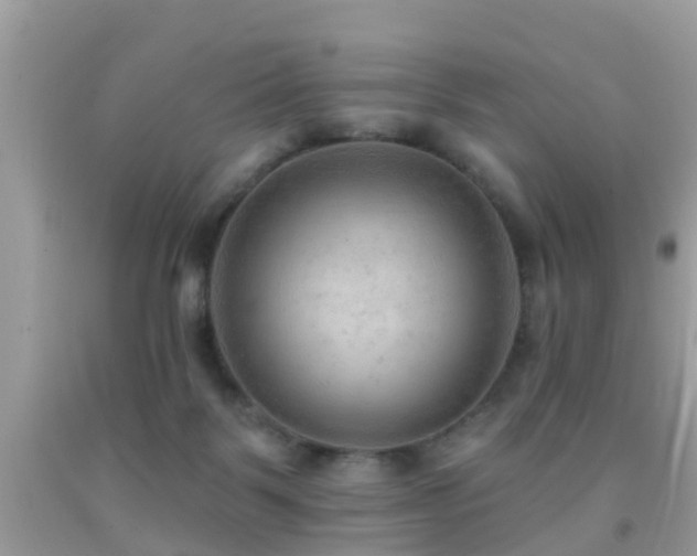 X0000092030123200709061623