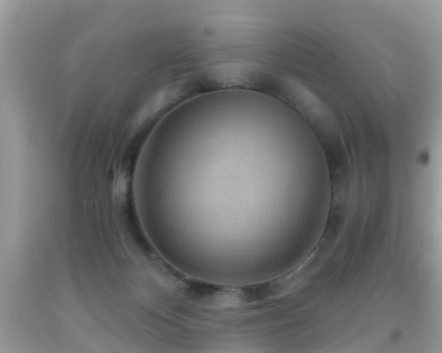 X0000092030124200709061623