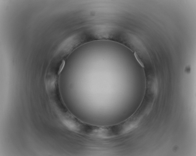 X0000092030125200709061623