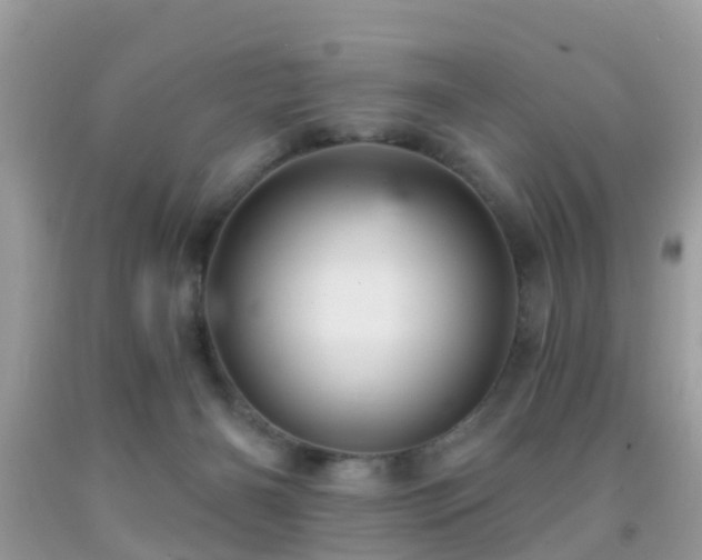 X0000092030126200709061623