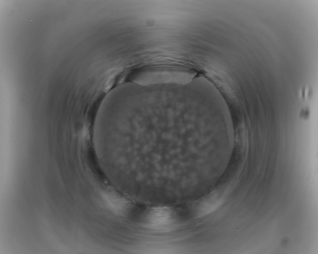 X0000092030127200709061623