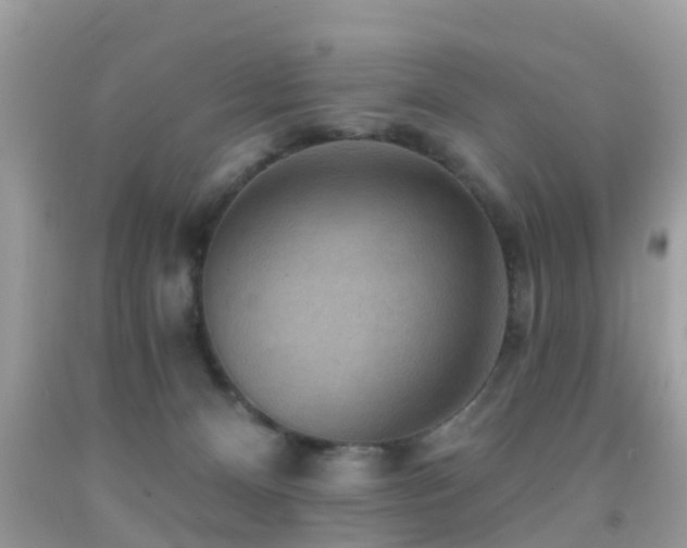 X0000092030128200709061623