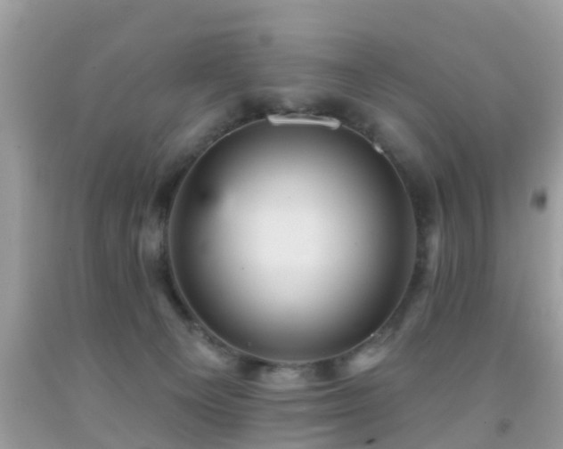 X0000092030129200709061623
