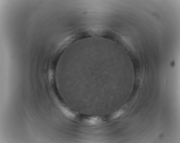 X0000092030130200709061623