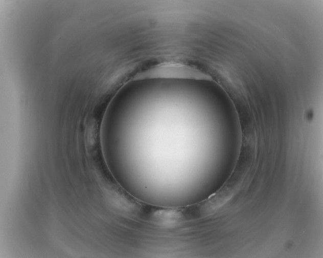 X0000092030133200709061622