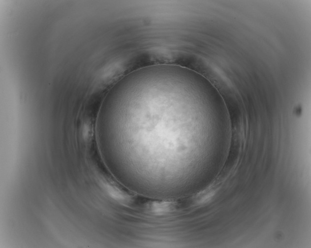 X0000092030134200709061622