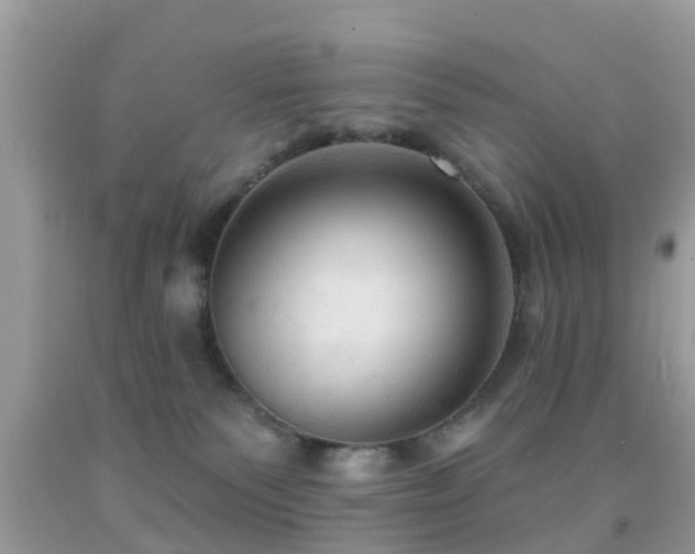 X0000092030135200709061622