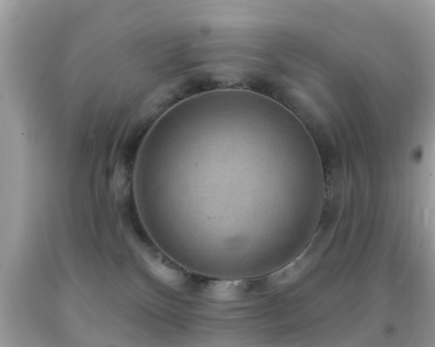 X0000092030136200709061622