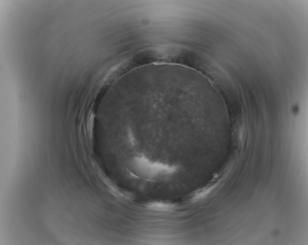X0000092030137200709061622