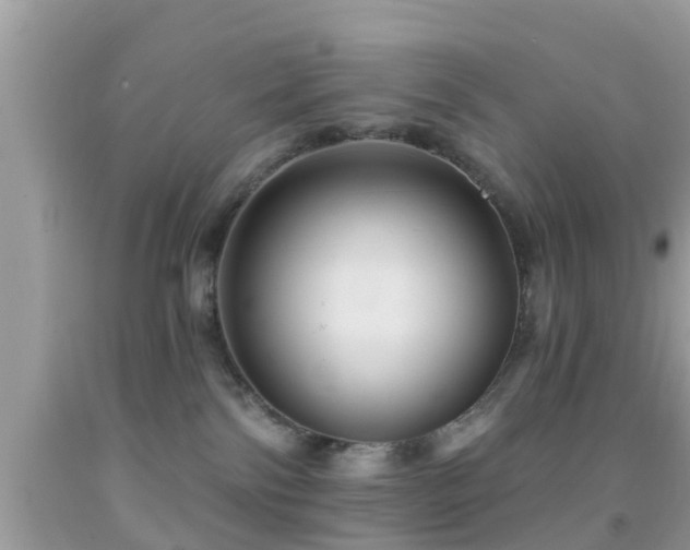 X0000092030138200709061622