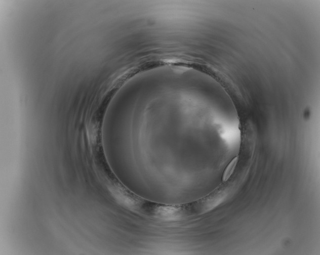 X0000092030139200709061622