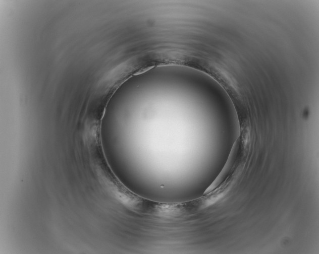X0000092030141200709061622