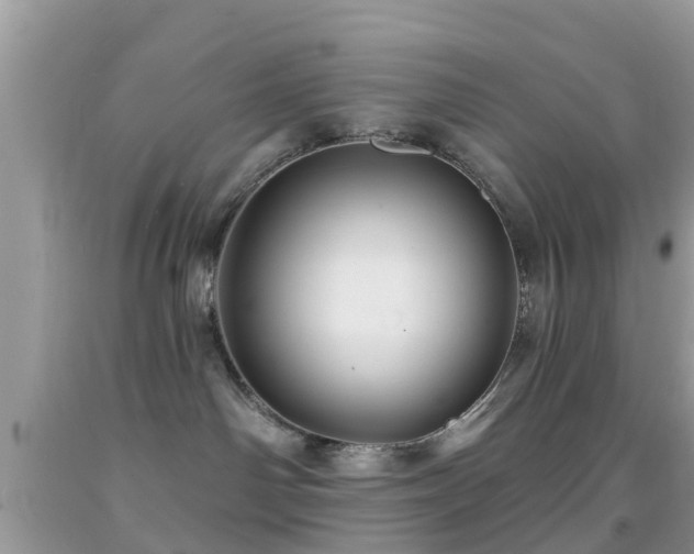 X0000092030142200709061622