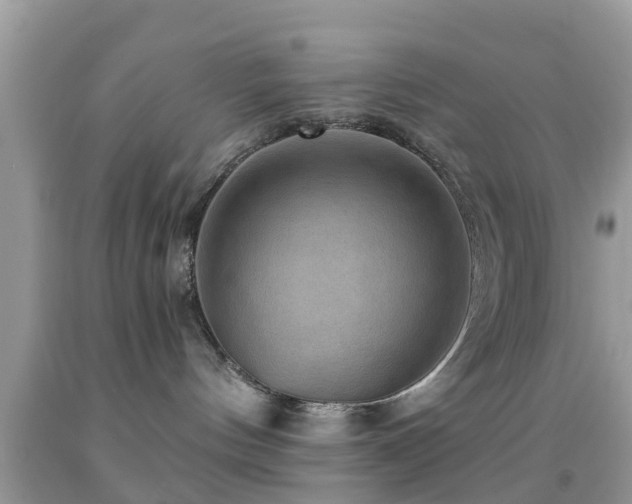 X0000092030144200709061622