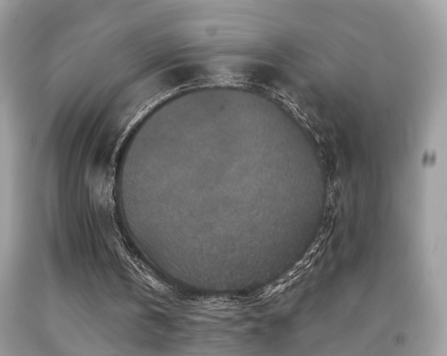 X0000092030146200709061622