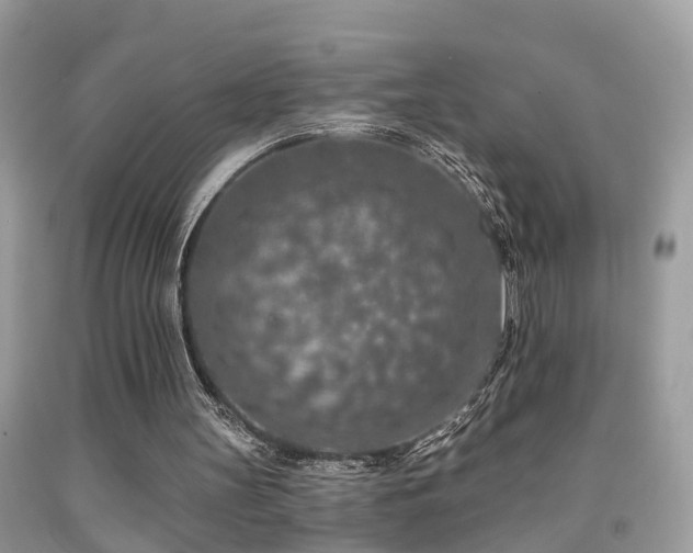 X0000092030147200709061622