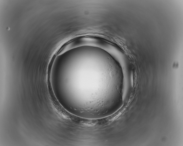 X0000092030148200709061622