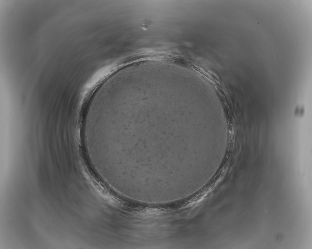 X0000092030149200709061622