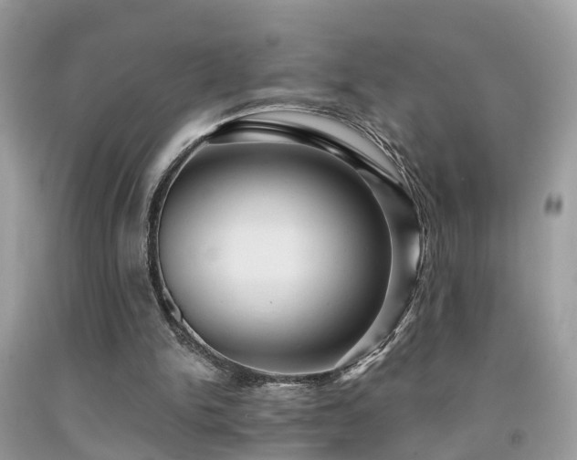 X0000092030150200709061622