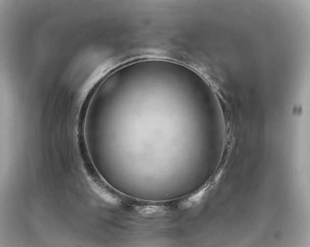 X0000092030151200709061622