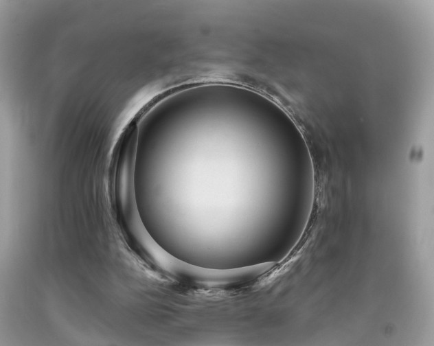 X0000092030152200709061622