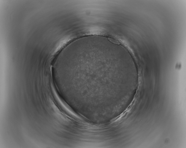 X0000092030154200709061622