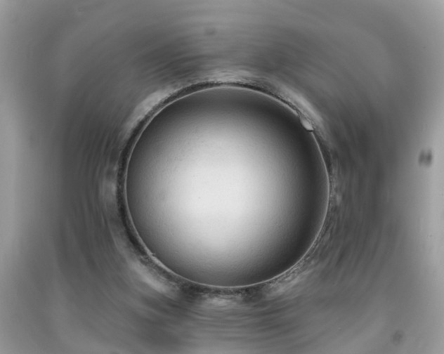 X0000092030155200709061622