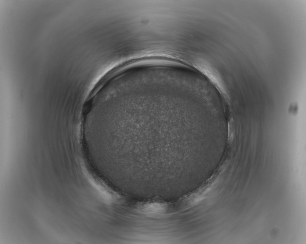 X0000092030156200709061622