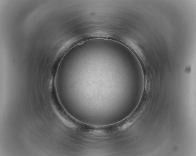 X0000092030157200709061622