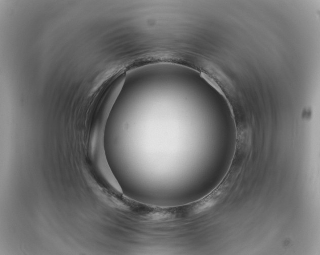 X0000092030158200709061622