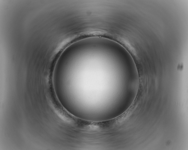 X0000092030159200709061622