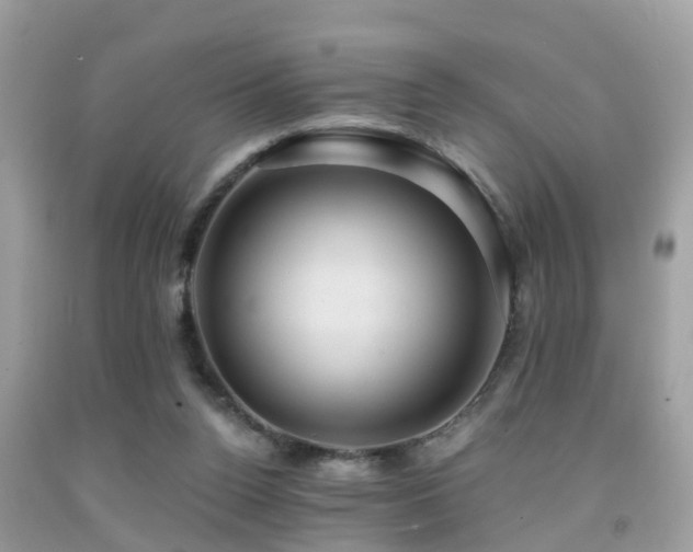 X0000092030160200709061622