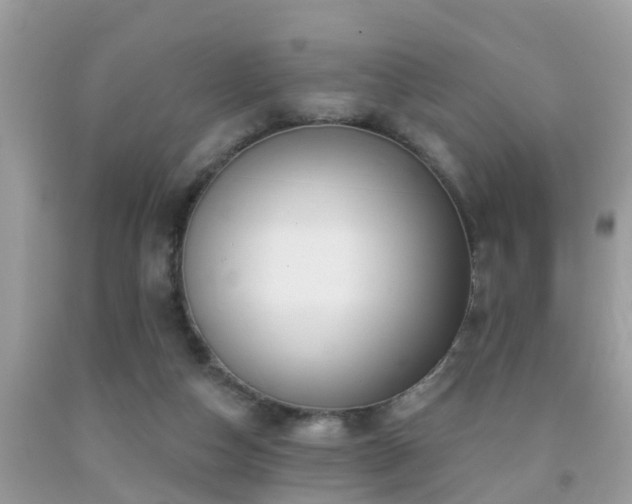 X0000092030162200709061622