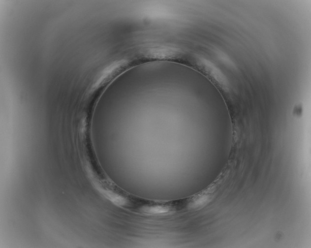 X0000092030163200709061622
