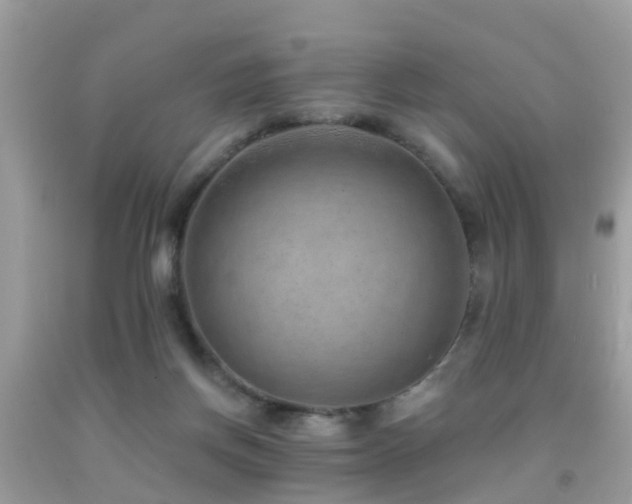 X0000092030166200709061622