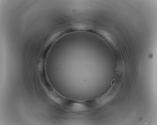 X0000092030167200709061622
