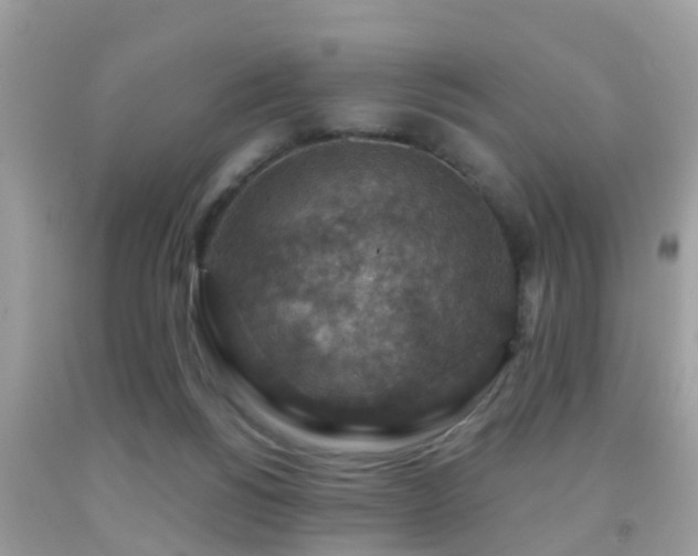 X0000092030168200709061622