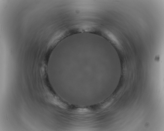 X0000092030169200709061622