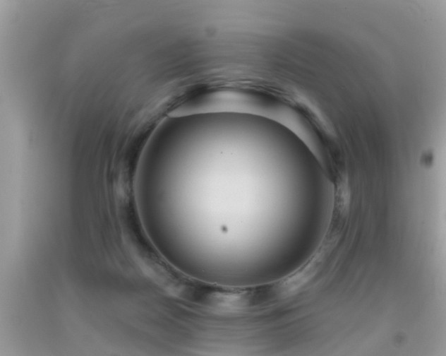 X0000092030170200709061622