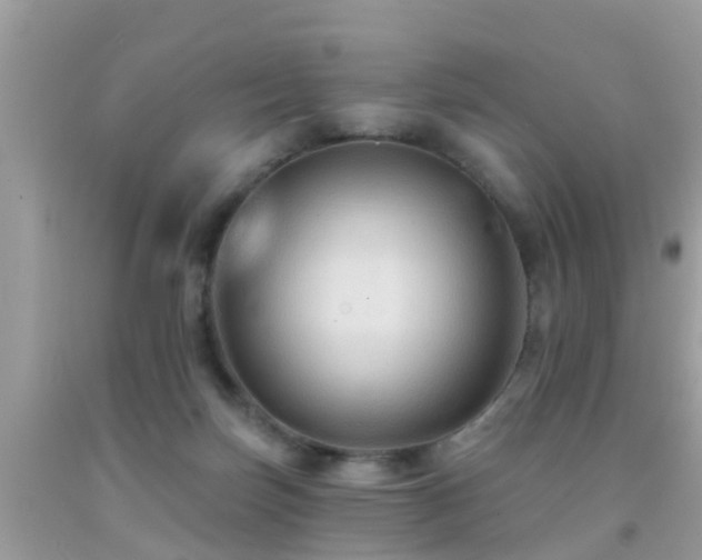 X0000092030171200709061622