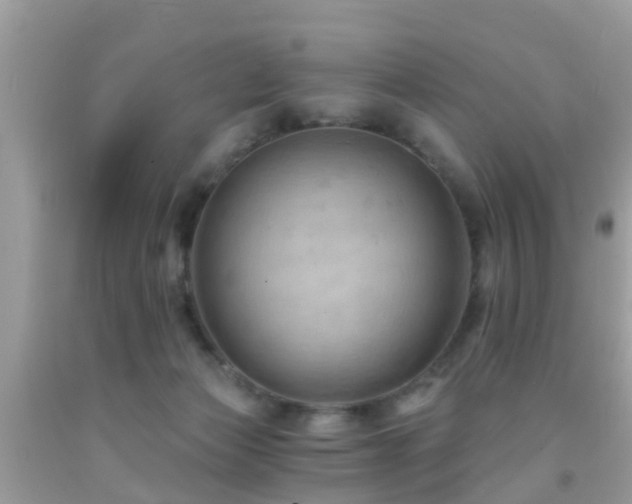 X0000092030173200709061622