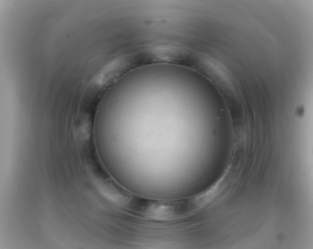 X0000092030174200709061622