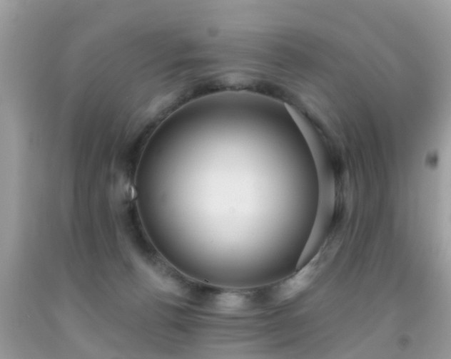 X0000092030176200709061622
