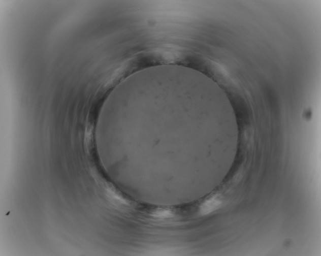 X0000092030177200709061622