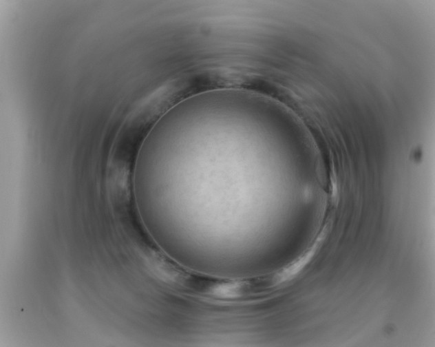 X0000092030178200709061622